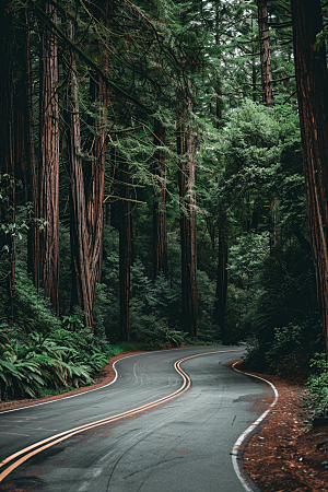 柏油马路道路场景素材