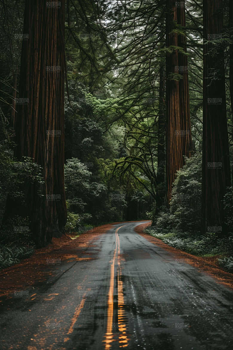 柏油马路场景材质素材