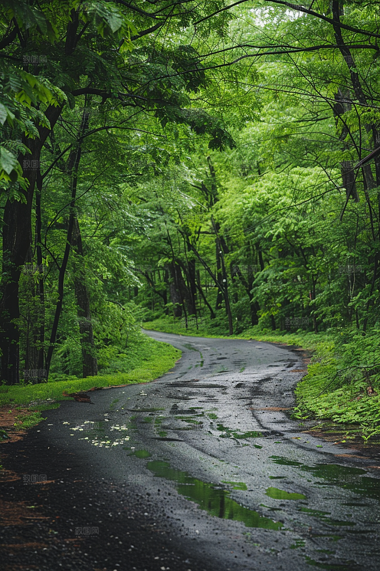 柏油马路场景道路素材