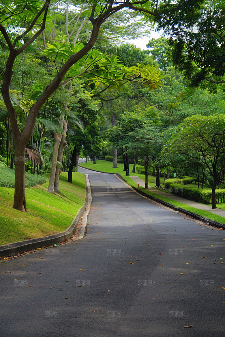 柏油马路道路场景素材