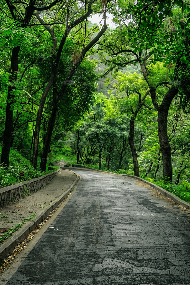 柏油马路户外材质素材