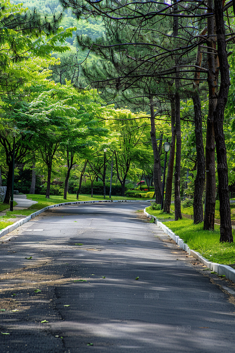 柏油马路户外道路素材