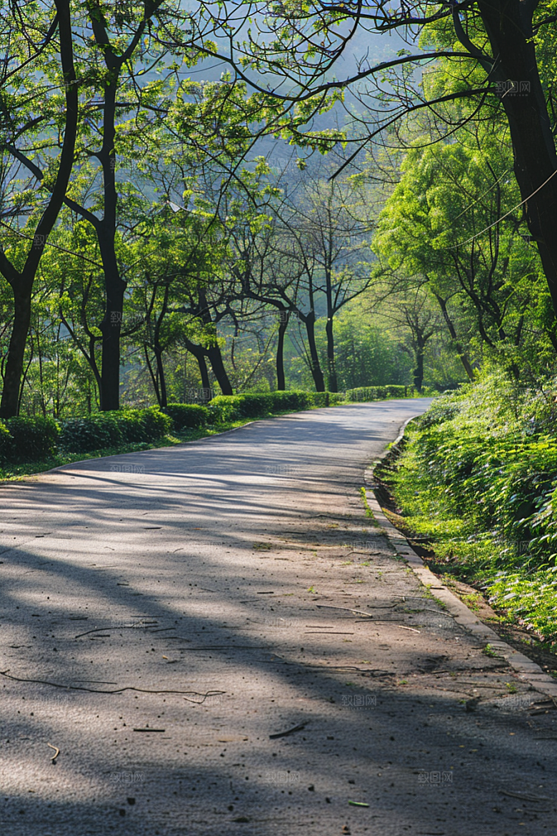 柏油马路沥青马路延伸素材