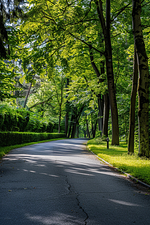柏油马路公路路面素材