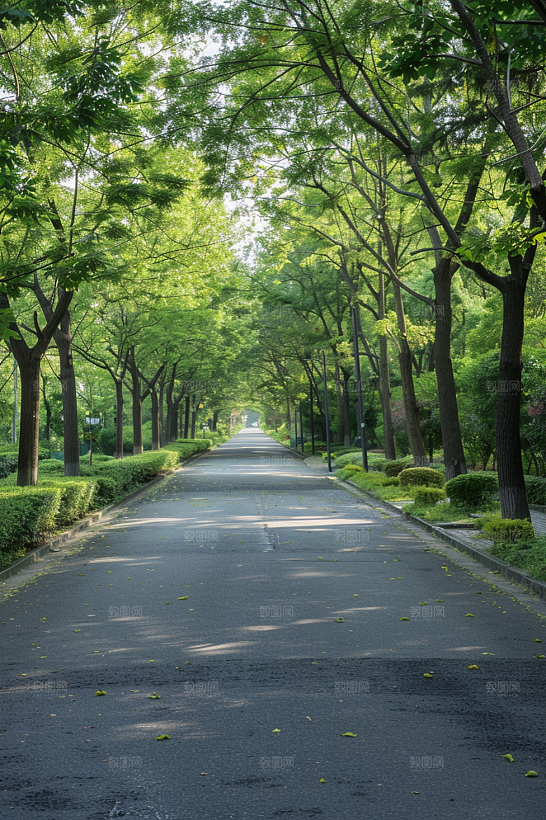 柏油马路驾车道路素材