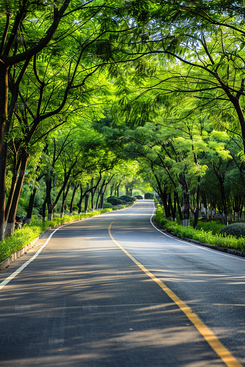 柏油马路路面场景素材