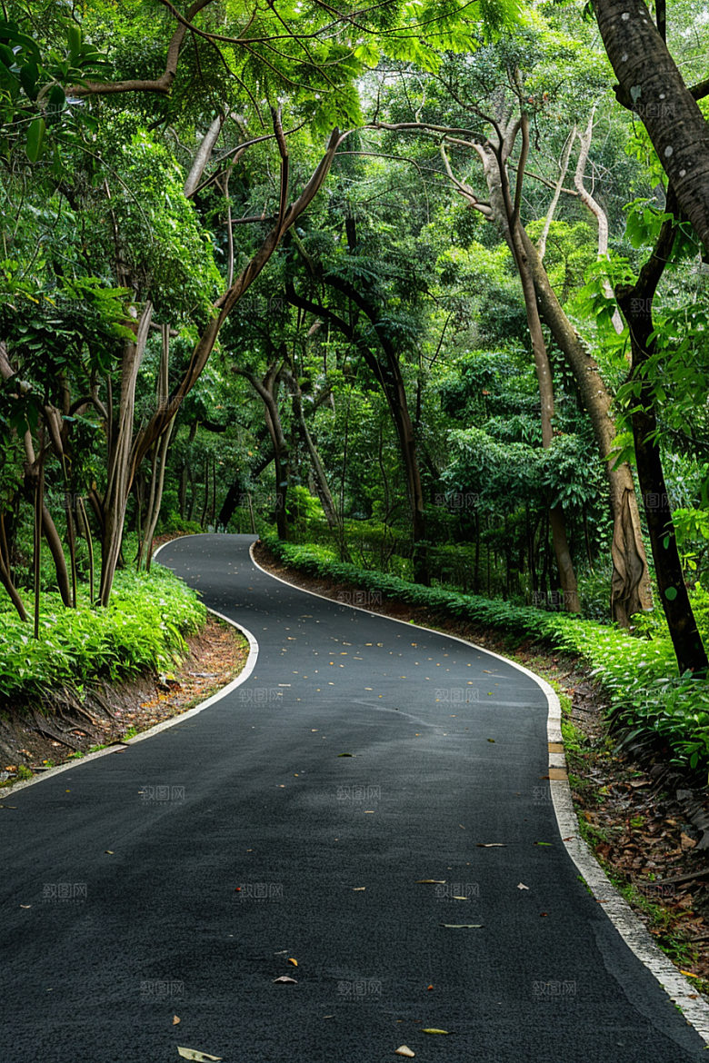 柏油马路路面户外素材