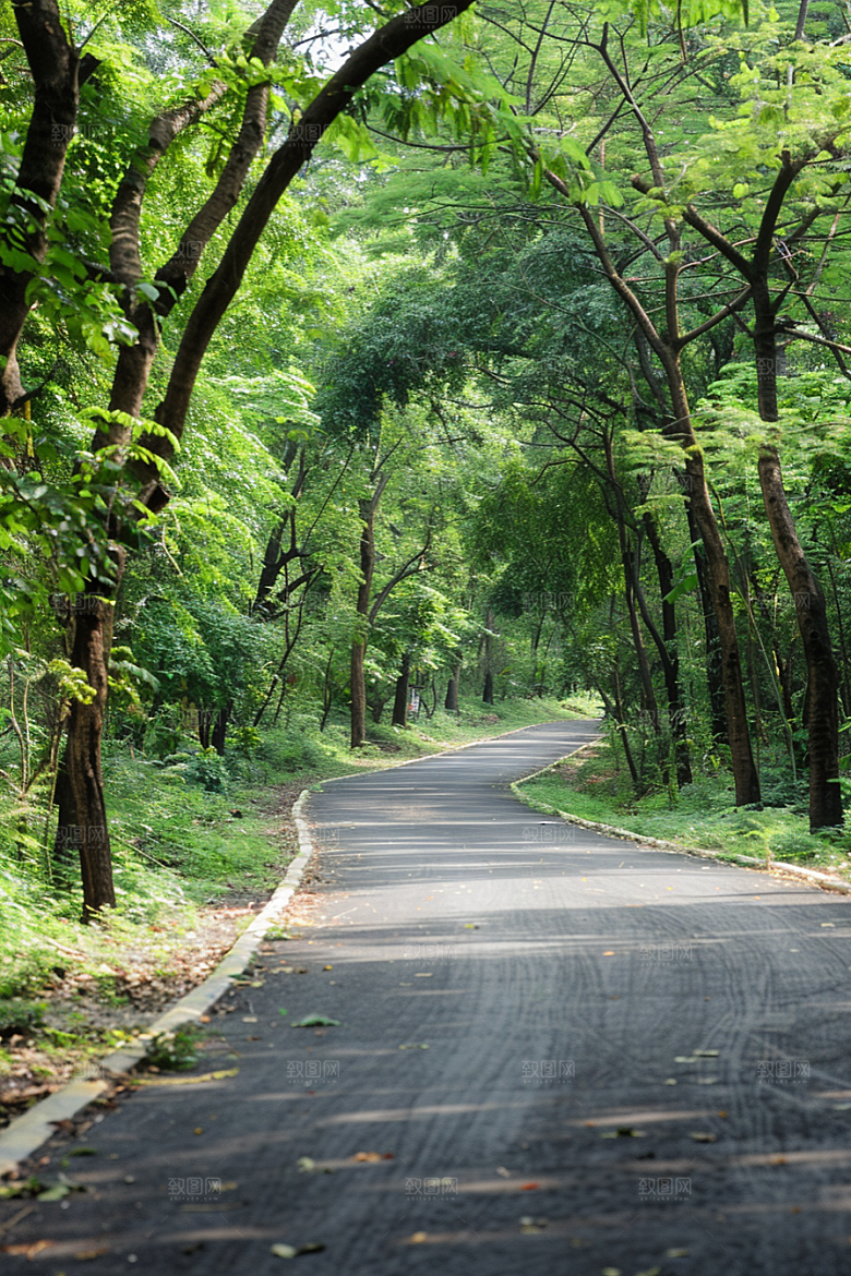 柏油马路材质道路素材