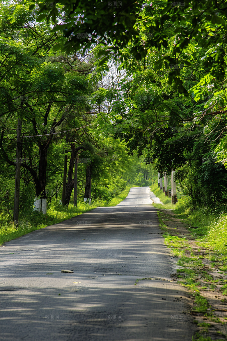 柏油马路场景路面素材
