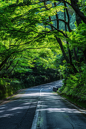 柏油马路肌理公路素材