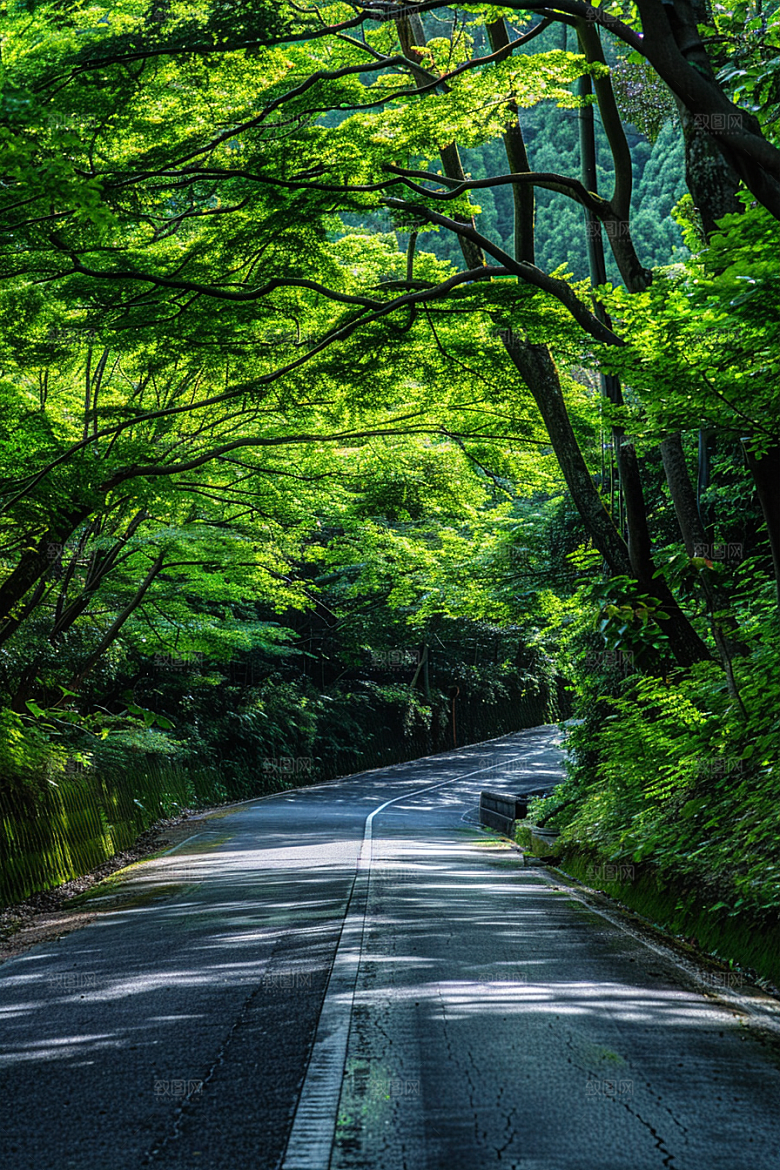 柏油马路肌理公路素材