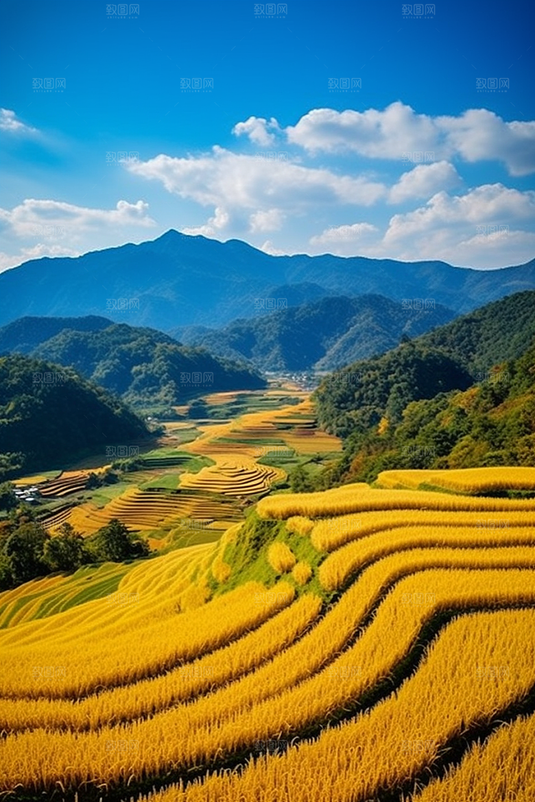 立秋氛围美景秋天素材