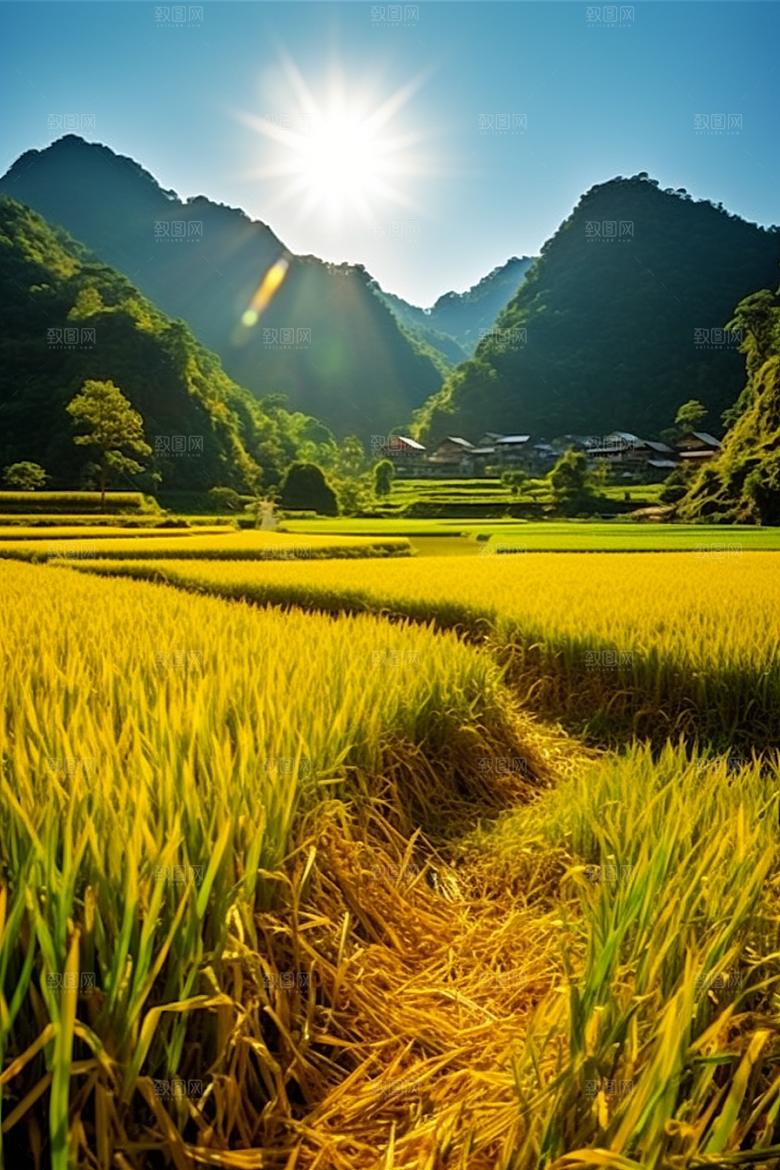 立秋氛围自然初秋素材