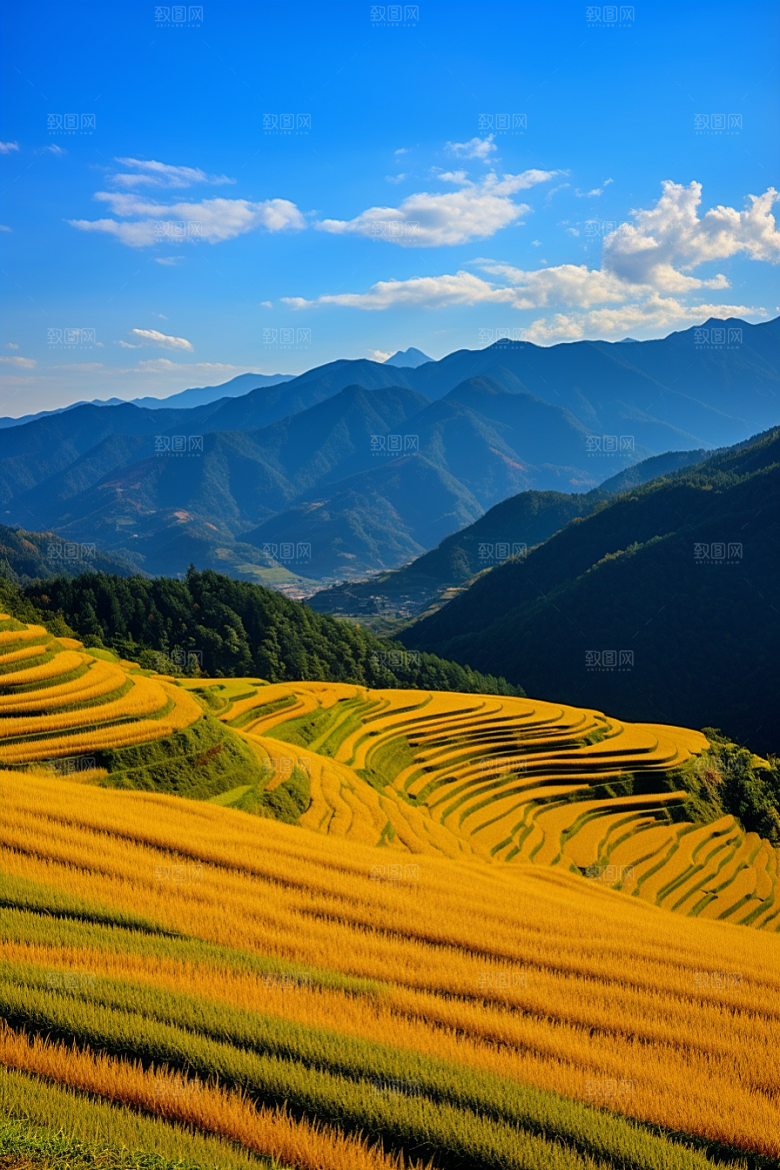立秋氛围初秋唯美素材