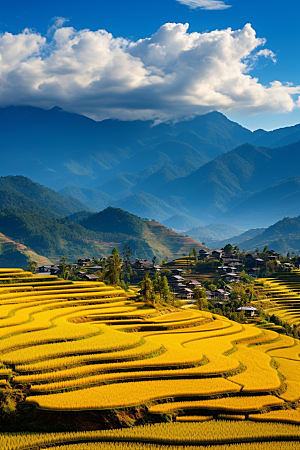 立秋氛围高清美景素材