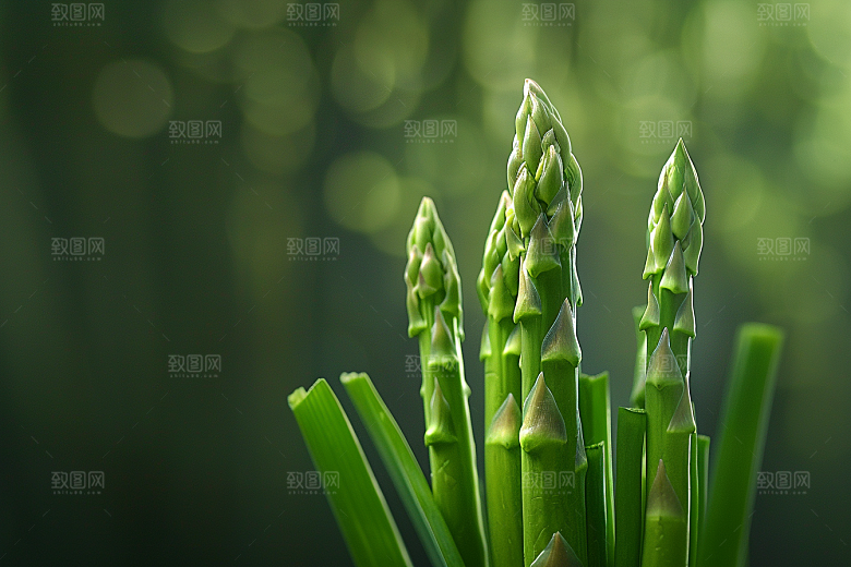 芦笋绿色轻食摄影图