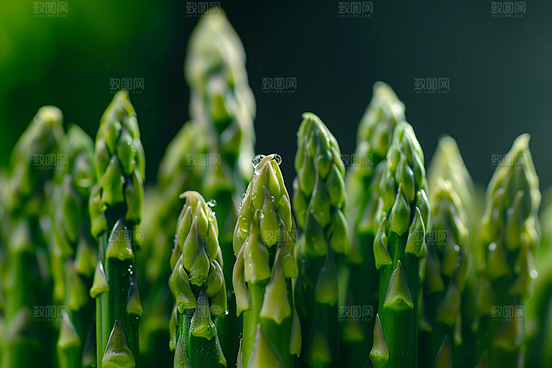芦笋高清绿色摄影图