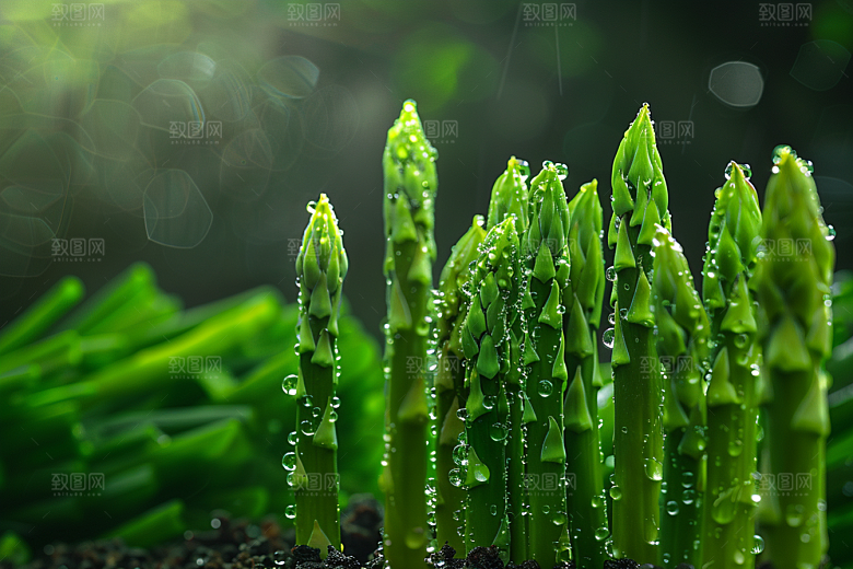芦笋食材绿色摄影图