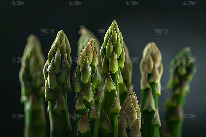 芦笋健身餐绿色摄影图