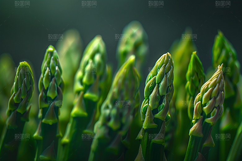 芦笋健身餐食材摄影图
