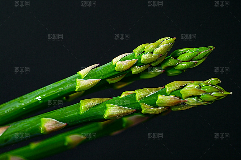芦笋高清绿色摄影图