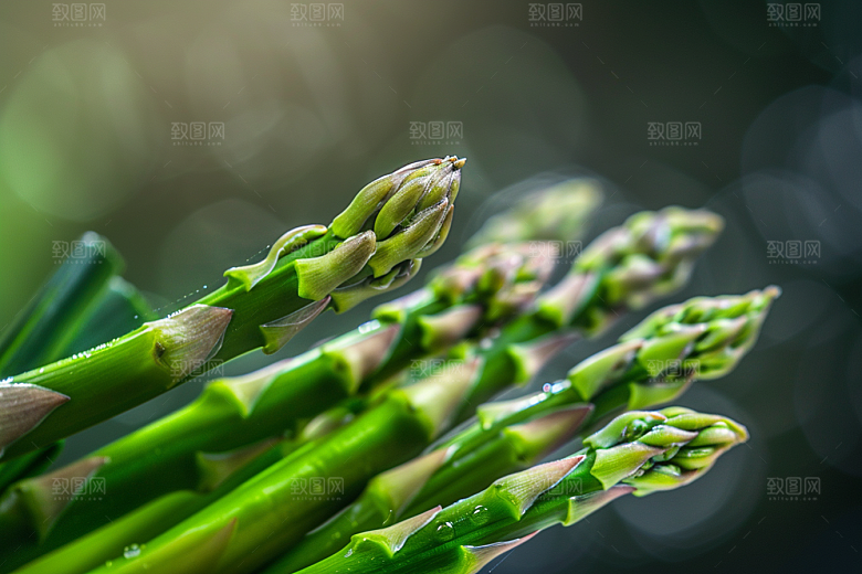 芦笋绿色自然摄影图
