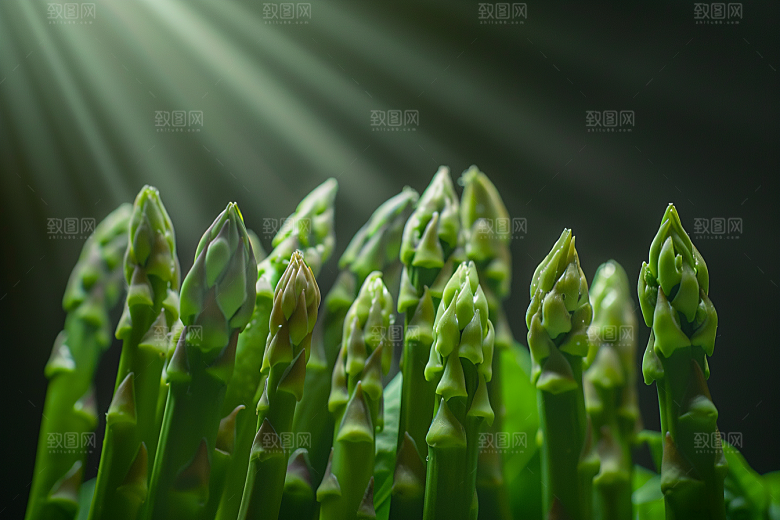 芦笋轻食绿色摄影图