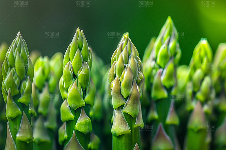 芦笋健身餐食材摄影图