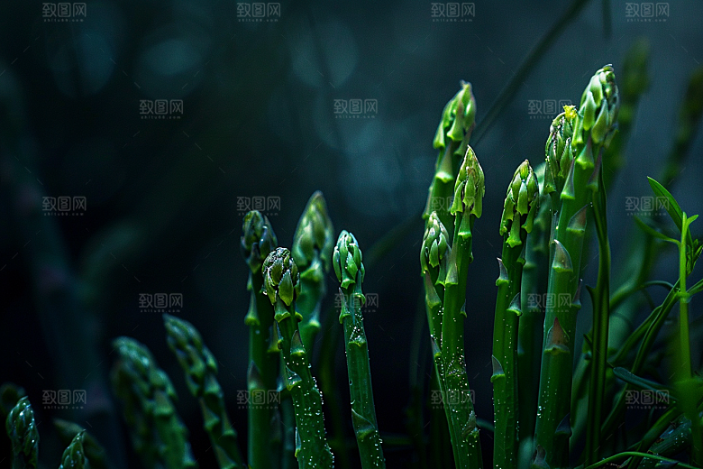 芦笋蔬菜自然摄影图