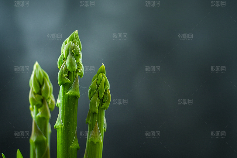 芦笋绿色食材摄影图