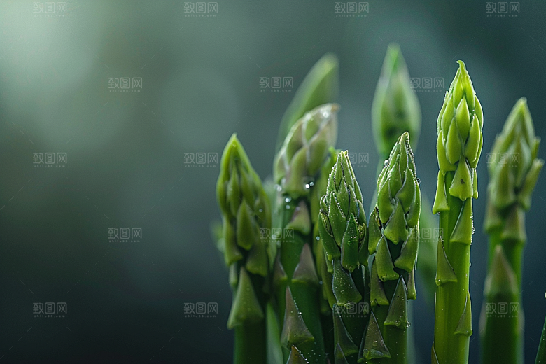芦笋自然轻食摄影图