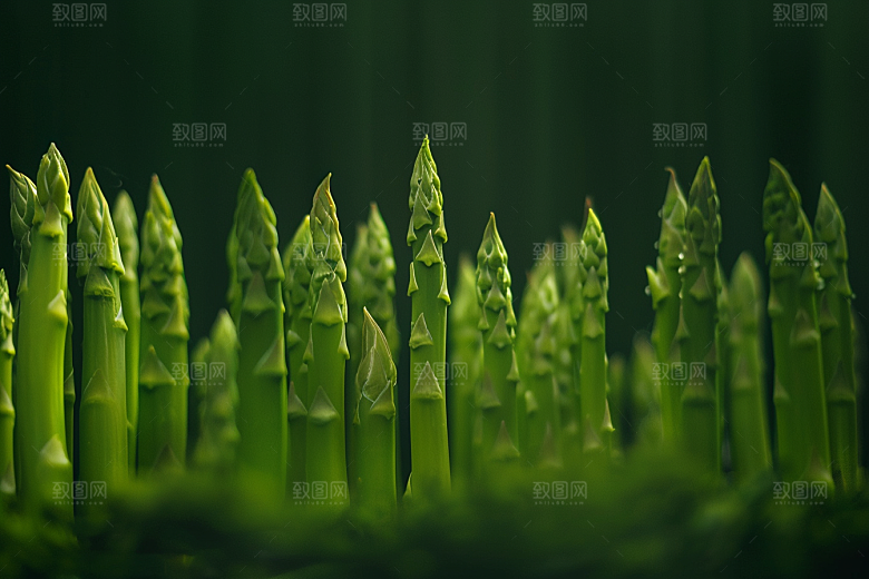 芦笋高清蔬菜摄影图