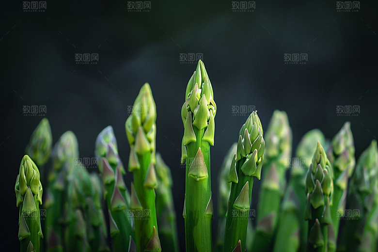 芦笋抗癌自然摄影图
