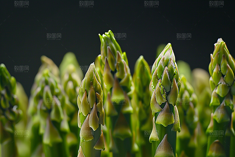 芦笋轻食健康食品摄影图
