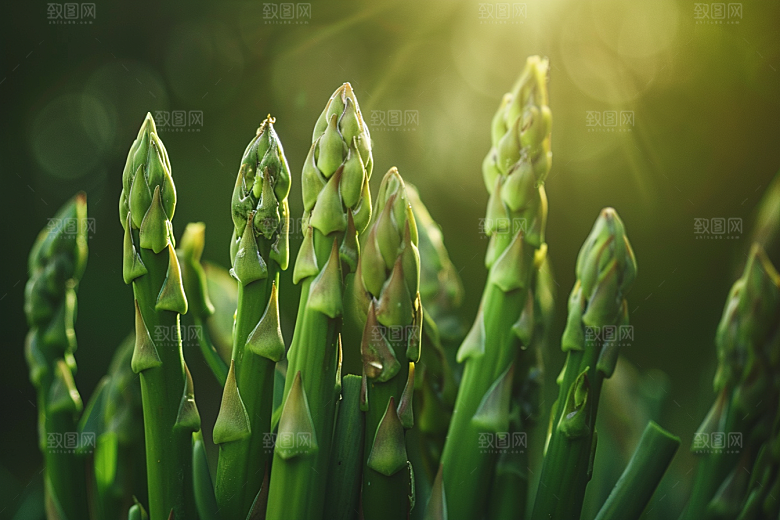 芦笋绿色蔬菜摄影图