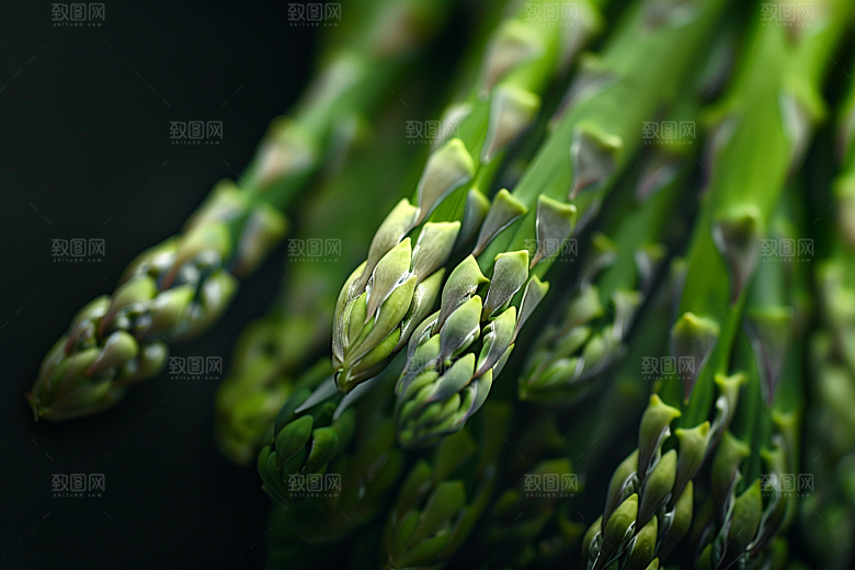 芦笋食材绿色摄影图