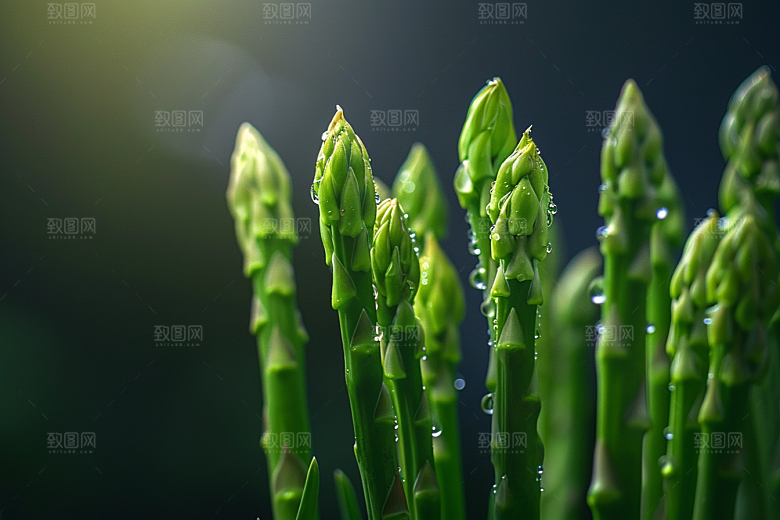 芦笋抗癌轻食摄影图
