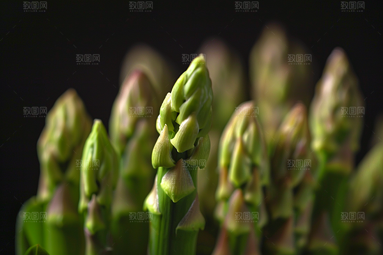 芦笋绿色蔬菜摄影图