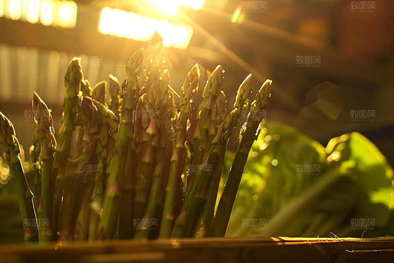 芦笋自然轻食摄影图