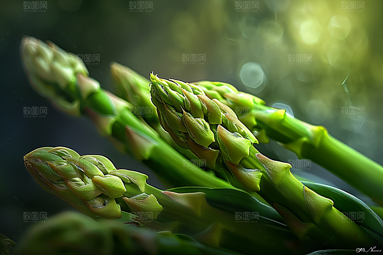 芦笋食材高清摄影图