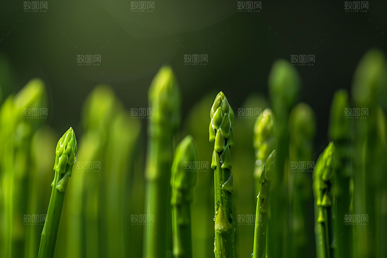 芦笋高清抗癌摄影图
