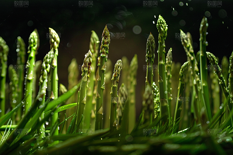芦笋抗癌高清摄影图