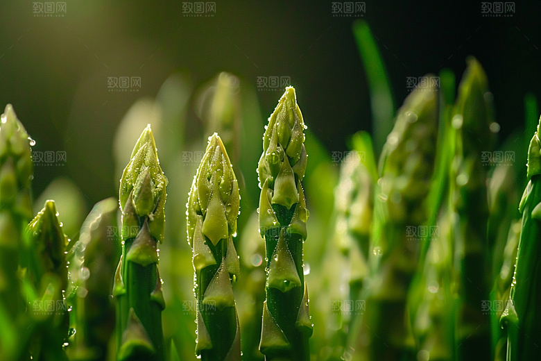 芦笋健身餐轻食摄影图