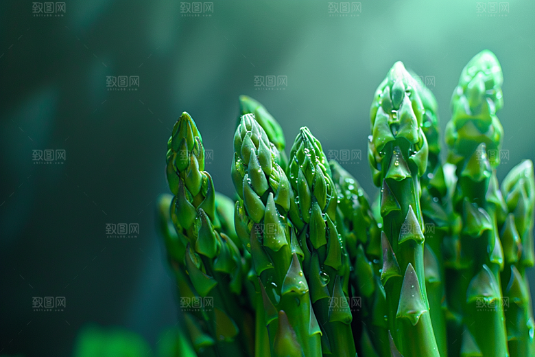 芦笋食材高清摄影图