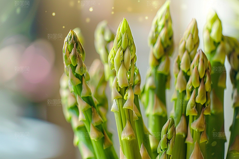 芦笋健康食品绿色摄影图