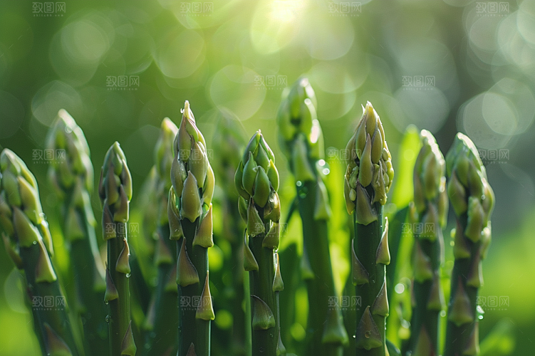 芦笋绿色轻食摄影图