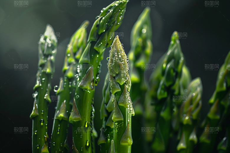 芦笋绿色蔬菜摄影图