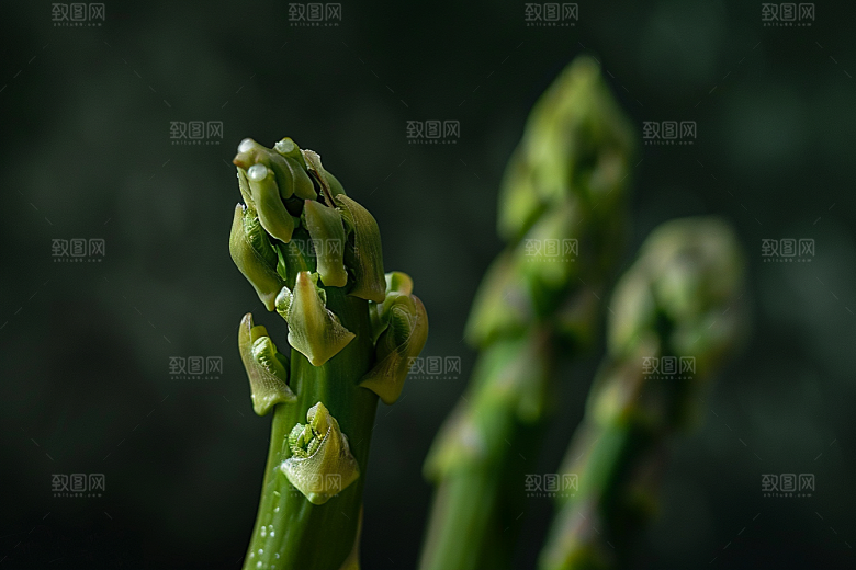芦笋轻食自然摄影图