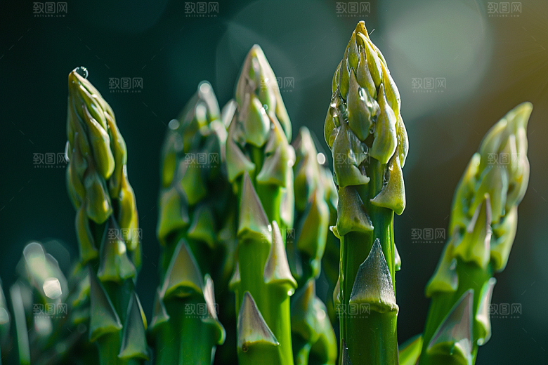 芦笋绿色高清摄影图