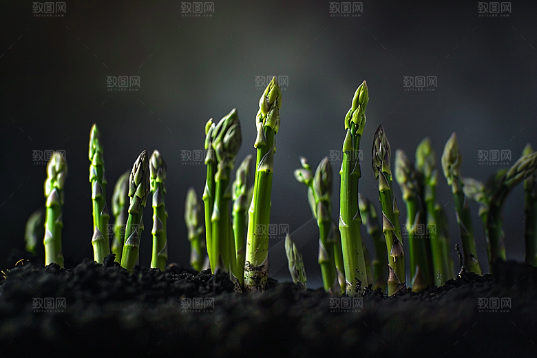 芦笋蔬菜自然摄影图